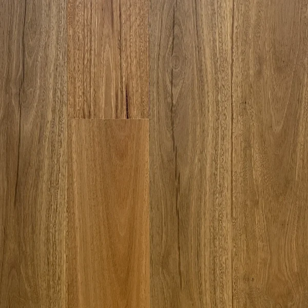 Rustic Brushed Spotted Gum - Maflooring.com.au