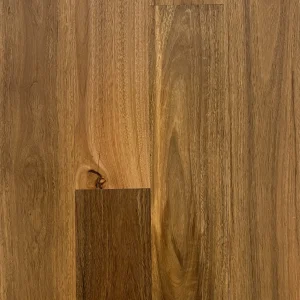 Spotted Gum - Maflooring.com.au