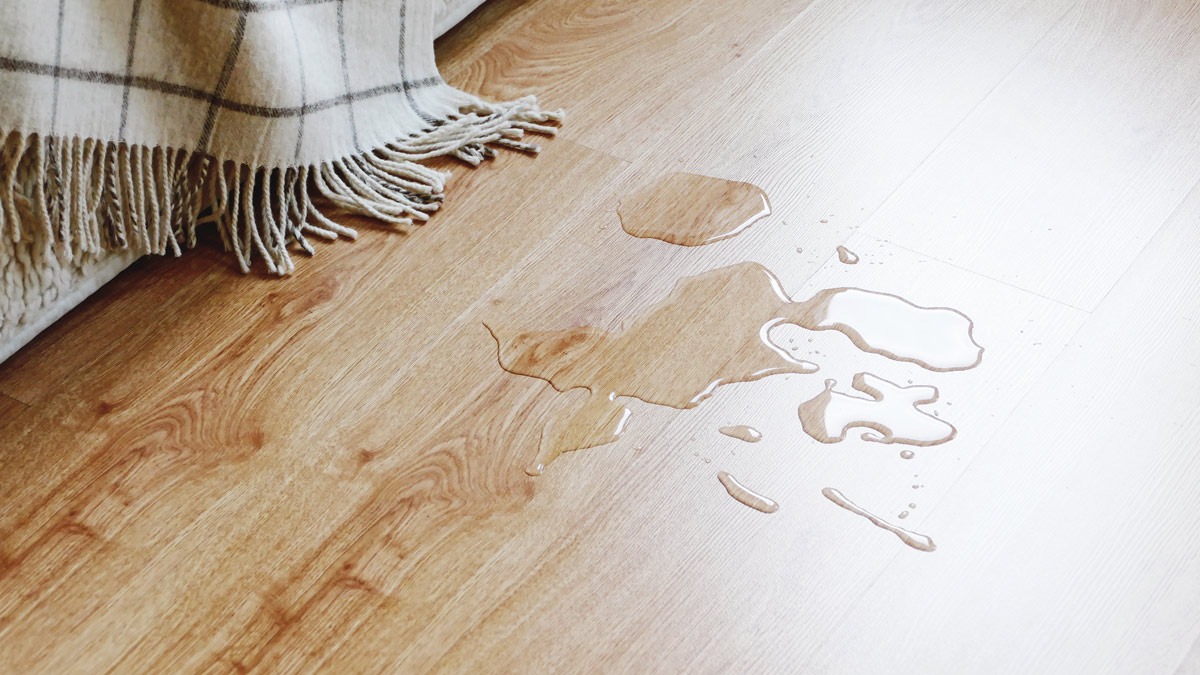 Water on the laminated floor in the living room