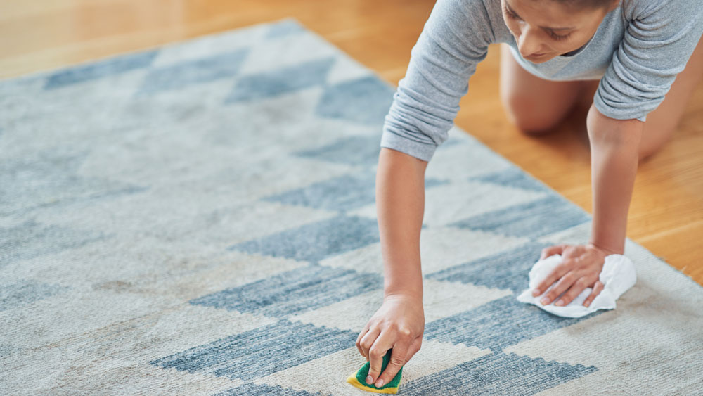 Young woman cleaning carpet stains with sponge