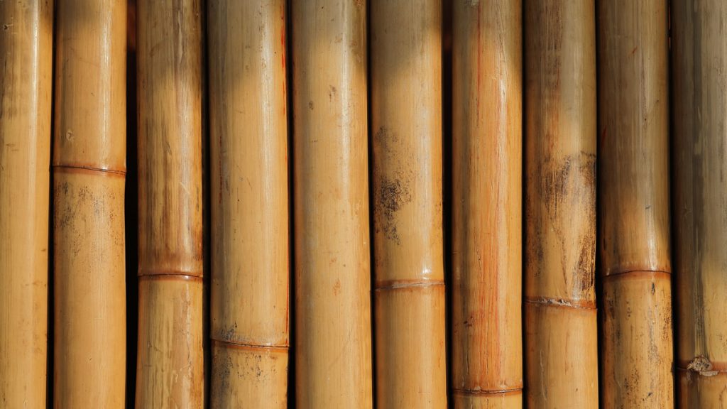 Bamboo wood close up