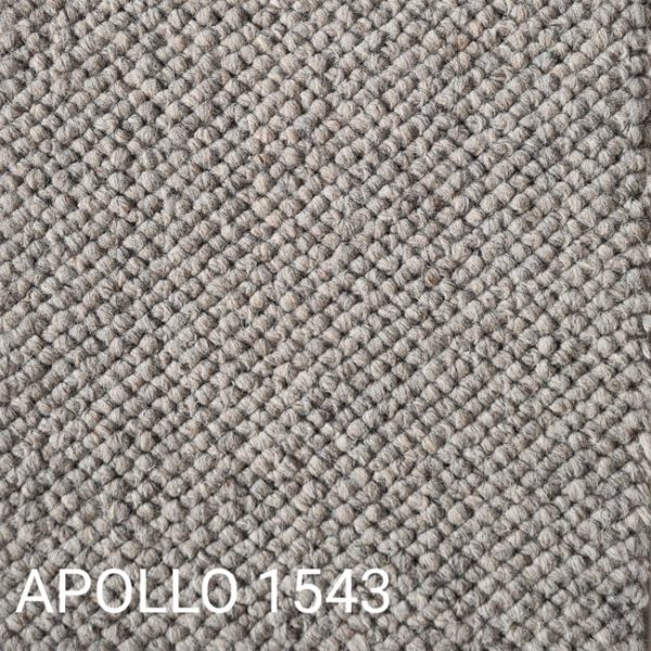 APOLLO 1543 Carpet