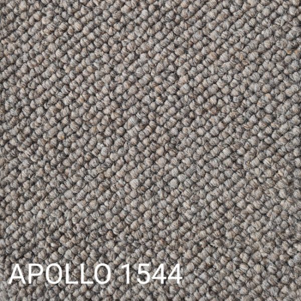 APOLLO 1544 Carpet