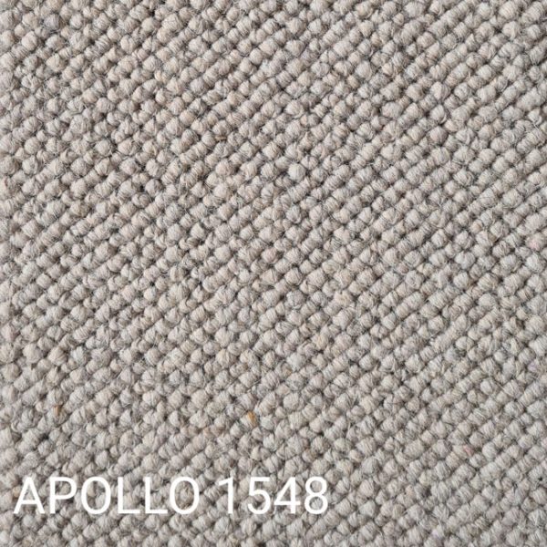 APOLLO 1548 Carpet