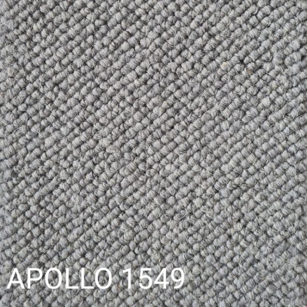 APOLLO 1549 Carpet