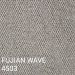 FUJIAN WAVE 4503 Carpet