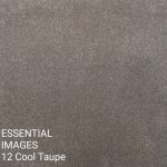 ESSENTIAL IMAGES 12 Cool Taupe Carpet