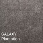 GALAXY Plantation Carpet