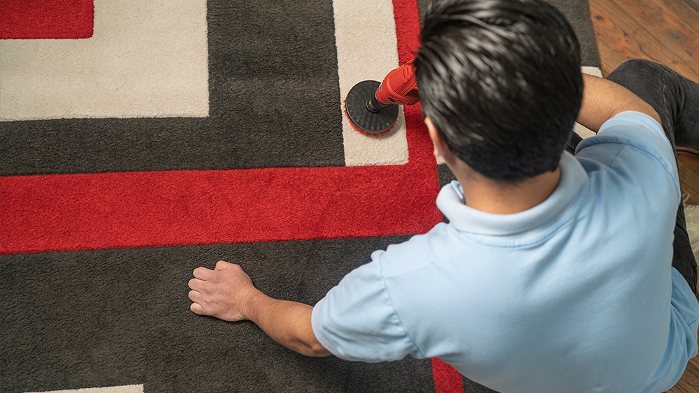 Man cleaning carpet using professional cleaning tool