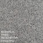 WHIMSICAL TWIST-BROADWATER Elanus Grey Carpet