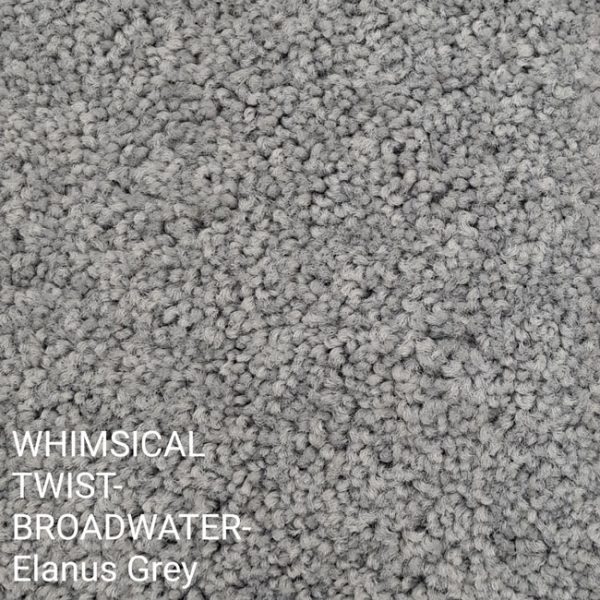 WHIMSICAL TWIST-BROADWATER Elanus Grey Carpet