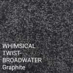 WHIMSICAL TWIST-BROADWATER Graphite Carpet