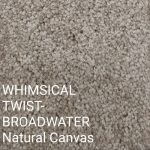 WHIMSICAL TWIST-BROADWATER Natural Canvas Carpet