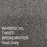 WHIMSICAL TWIST-BROADWATER Seal Grey Carpet