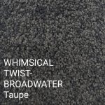 WHIMSICAL TWIST-BROADWATER Taupe Carpet