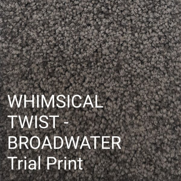 WHIMSICAL TWIST-BROADWATER Trial Print Carpet