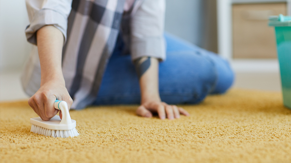 Woman brushing a carpet at home