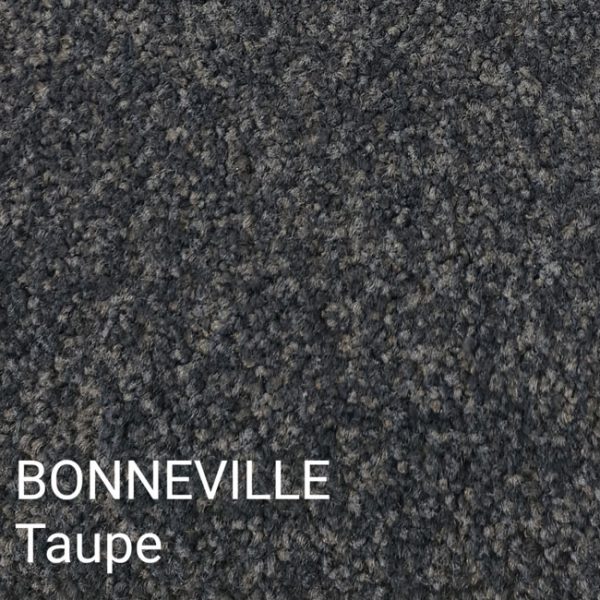 BONNEVILLE Taupe Carpet