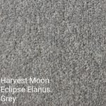 HARVEST MOON ECLIPSE Elanus Grey Carpet