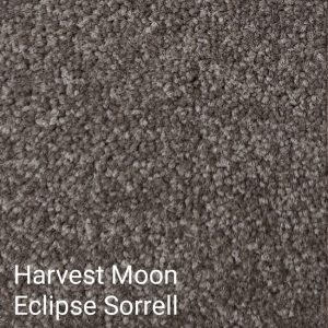 HARVEST MOON ECLIPSE Sorrell Carpet