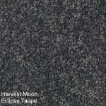 HARVEST MOON ECLIPSE Taupe Carpet