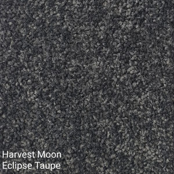 HARVEST MOON ECLIPSE Taupe Carpet