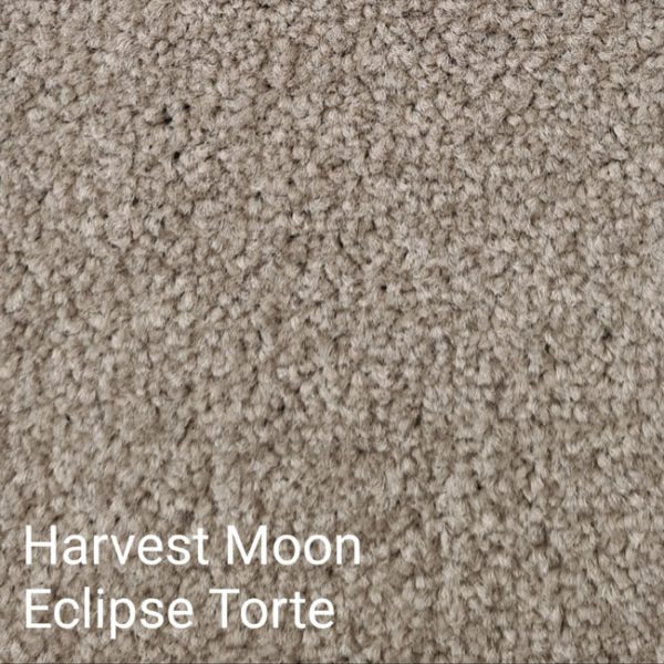 HARVEST MOON ECLIPSE Torte Carpet