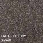 LAP OF LUXURY Sorrell Carpet