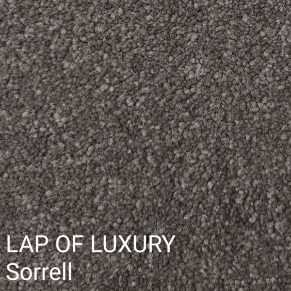 LAP OF LUXURY Sorrell Carpet