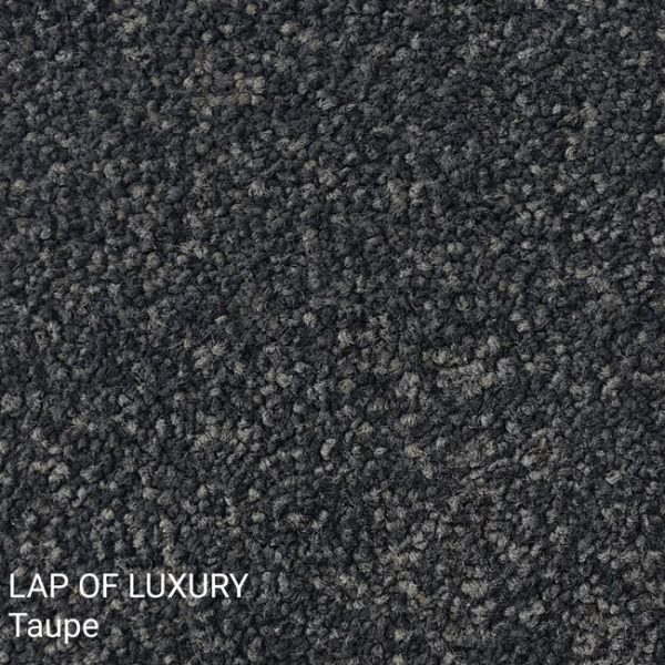 LAP OF LUXURY Taupe Carpet