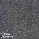 Naples Downtown Carpet