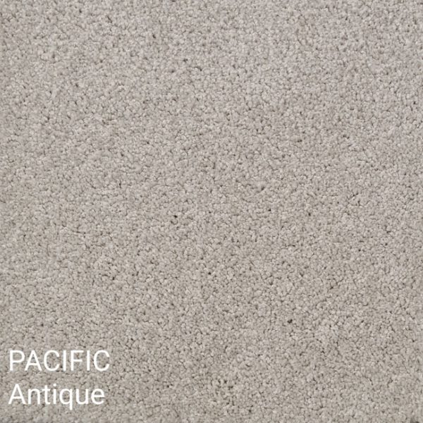 Pacific Antique Carpet