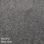 Pacific Mole Grey Carpet