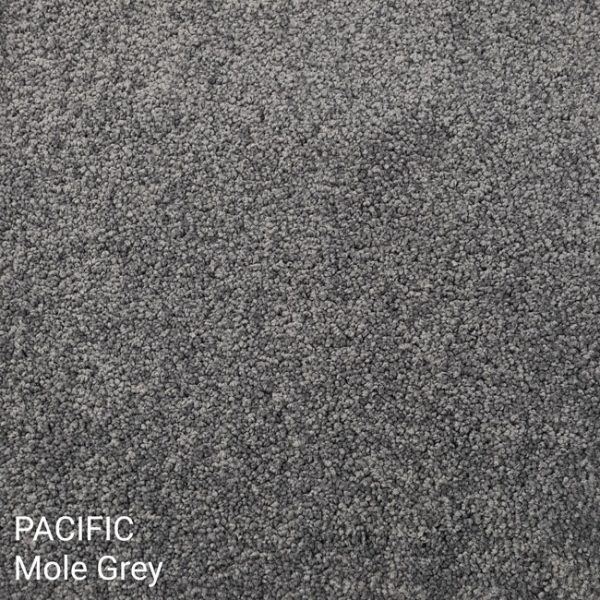 Pacific Mole Grey Carpet