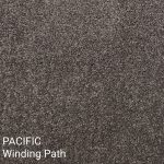 Pacific Winding Path Carpet