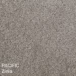 Pacific Zinia Carpet