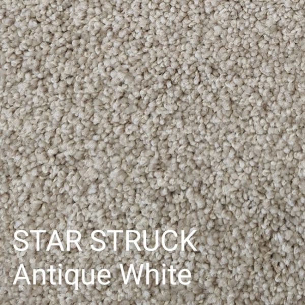 Star Struck Carpet - MA Flooring