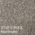 STAR STRUCK Mushroom Carpet