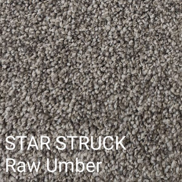 STAR STRUCK Raw Umber Carpet