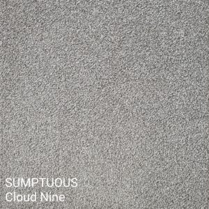 SUMPTUOUS Cloud Nine Carpet