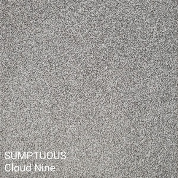 SUMPTUOUS Cloud Nine Carpet