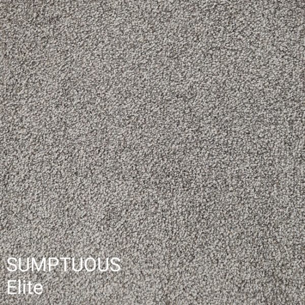 SUMPTUOUS Elite Carpet