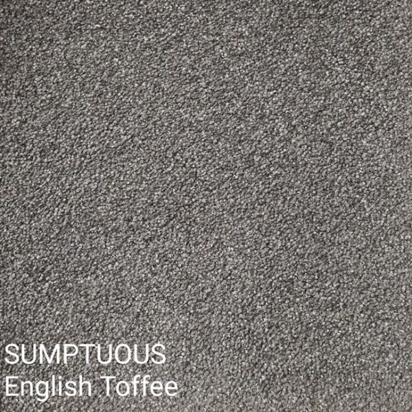 SUMPTUOUS English Toffee Carpet