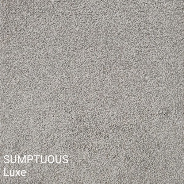 SUMPTUOUS Luxe Carpet