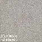 SUMPTUOUS Royal Beige Carpet