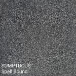 SUMPTUOUS Spell Bound Carpet