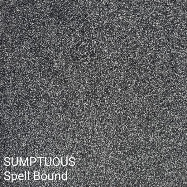 SUMPTUOUS Spell Bound Carpet