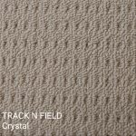 Track N Field Crystal Carpet