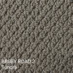 Abbey Road-2 Tundra Carpet