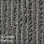 Altitude Platform Carpet